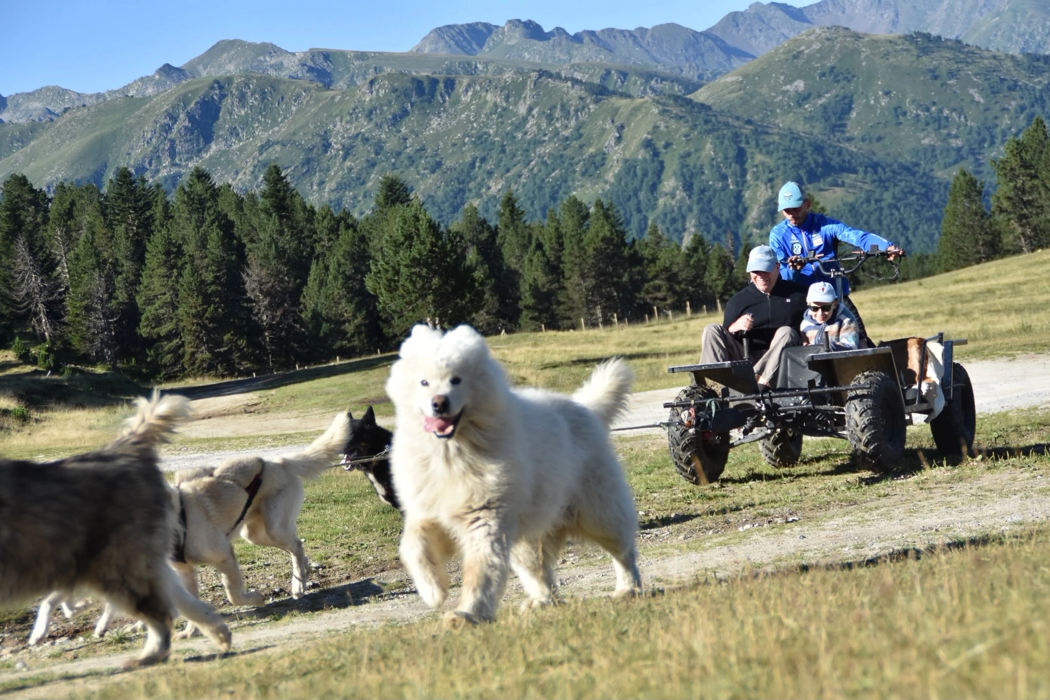 Escursioni in slitta trainata da cani sull'altopiano di Beille: un'avventura magica in ogni stagione
