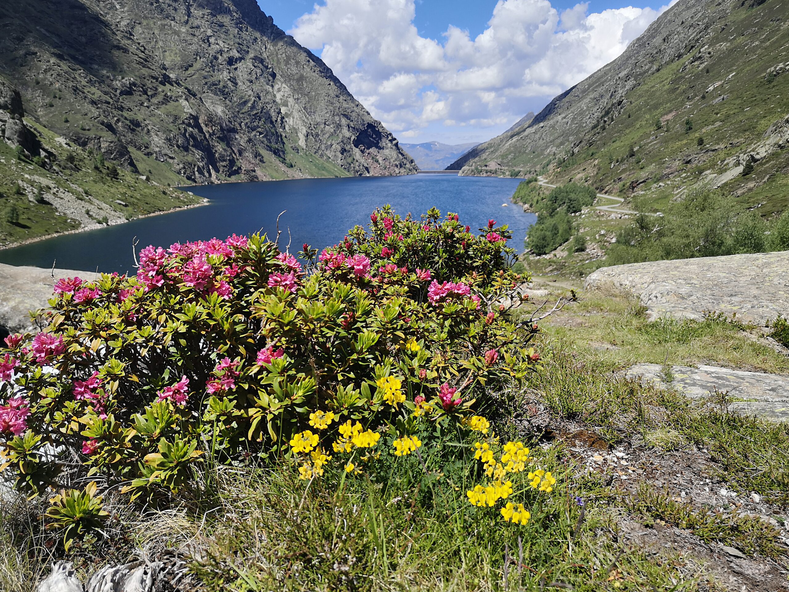 Stagno di Soulcem