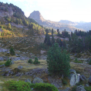 Hiking